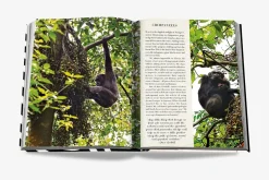 African Adventures Book