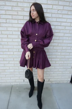 Alexa Long Sleeve Mini Dress