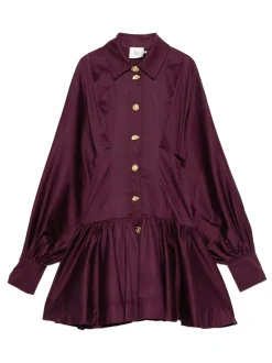 Alexa Long Sleeve Mini Dress