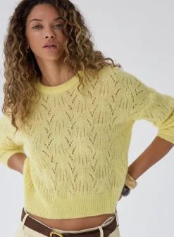 Allover Pointelle Crew