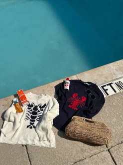 Cropped Lobster Sweater