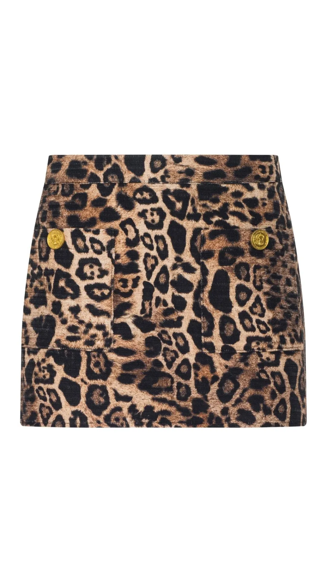 Cyra Lowrise Mini Skirt