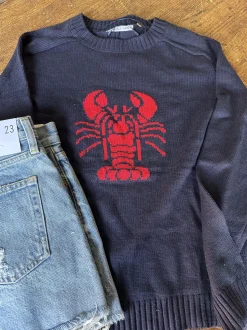 Lobster Sweater