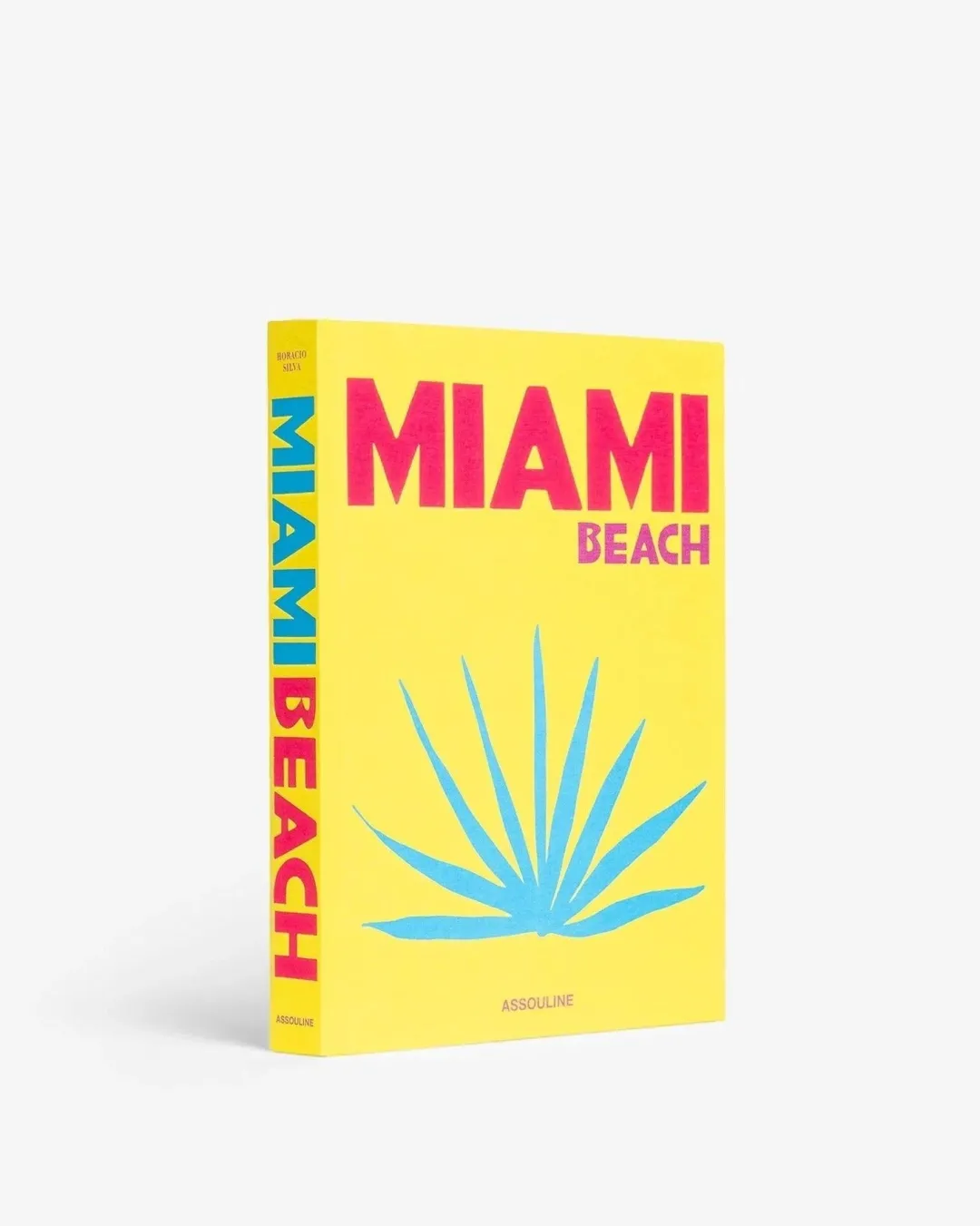 Miami Beach Book
