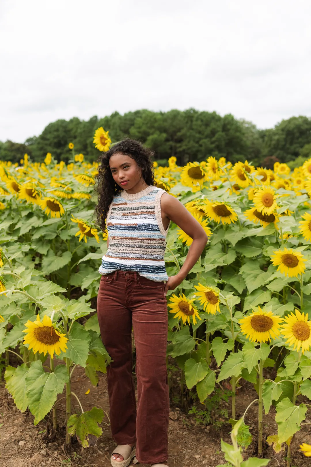 The Mid Rise Maven Ankle Jeans in Hopscotch